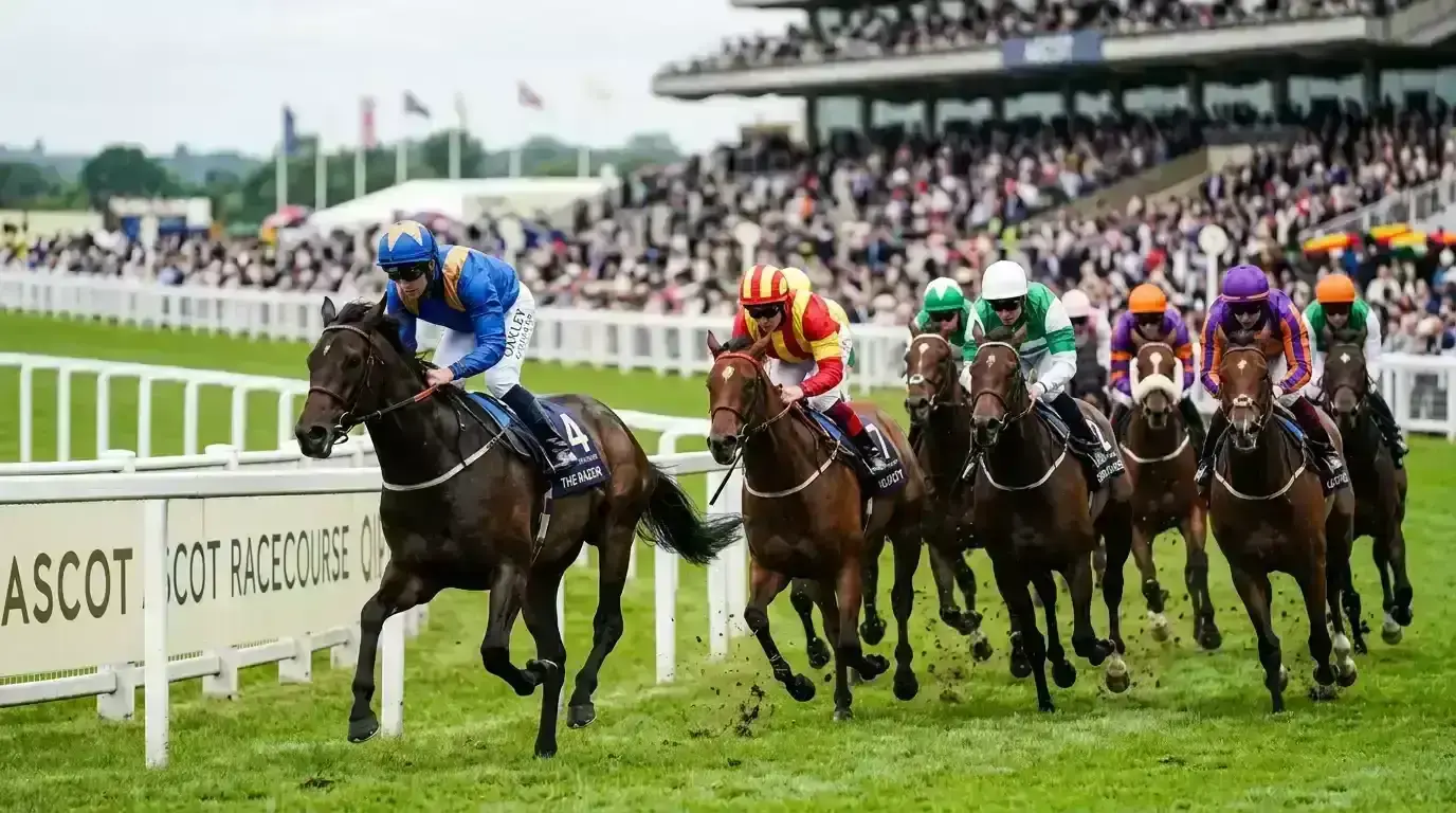 Field of racehorses mid-race with the favourite leading on the inside rail
